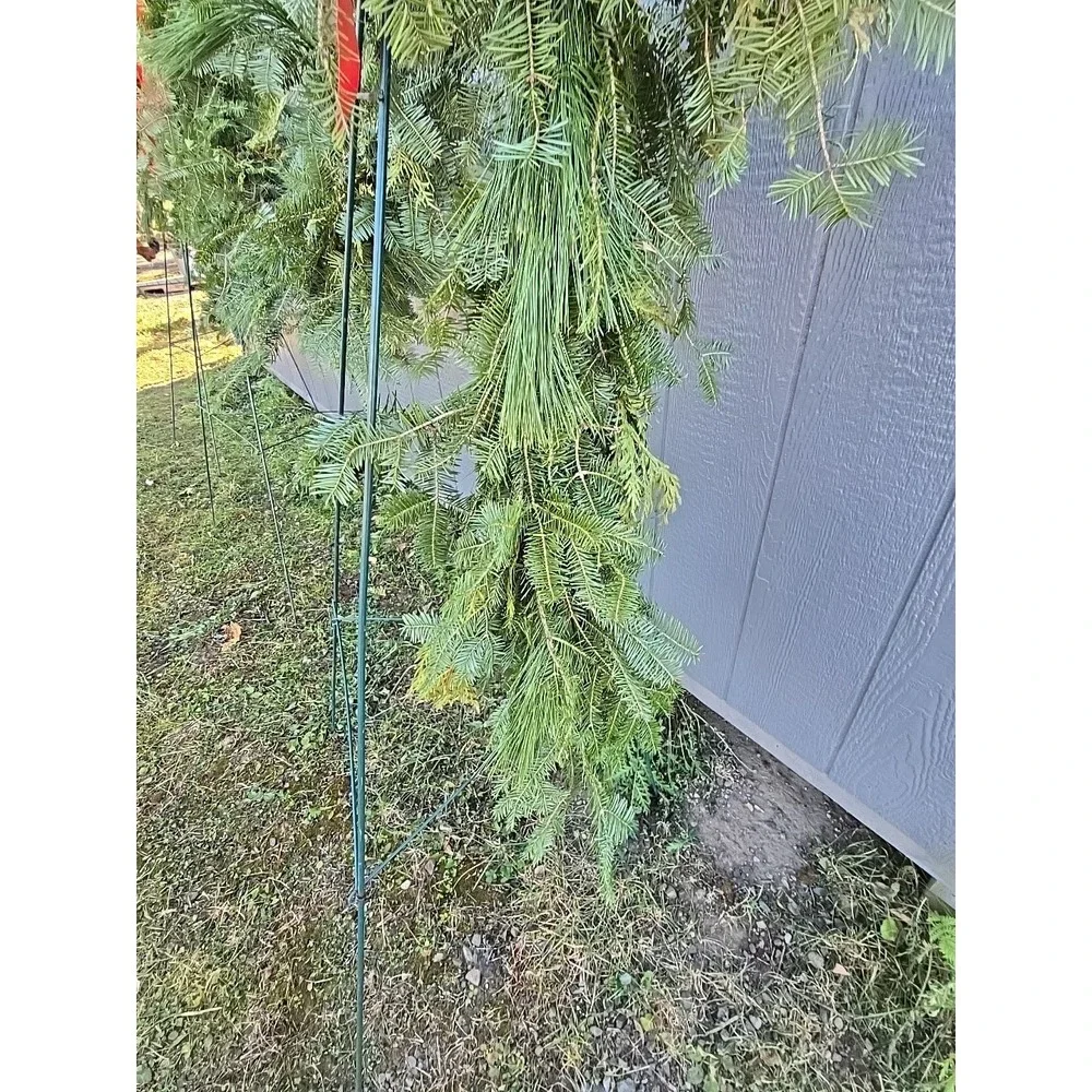 8 FT Christmas‎ Garland Fresh Homemade Balsam Mixed for Outdoor Decoration